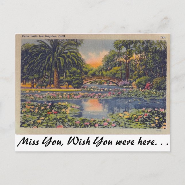 Echo Park, Los Angeles, California Postcard (Front)