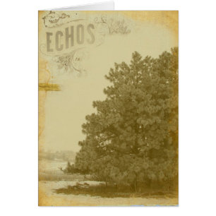 Echos of Winter