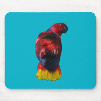 Eclectus Mouse Mat