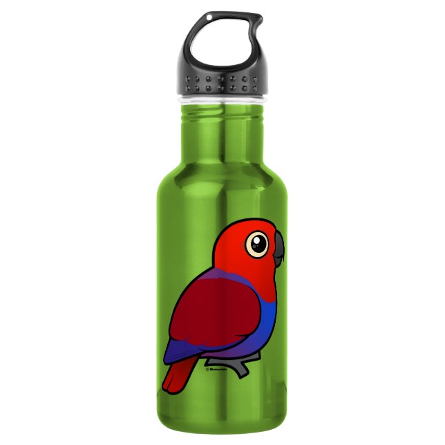 Eclectus Parrot female 532 Ml Water Bottle (Front)