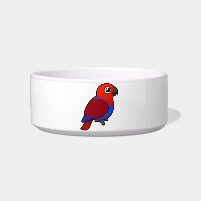 Eclectus Parrot female Bowl (Front)