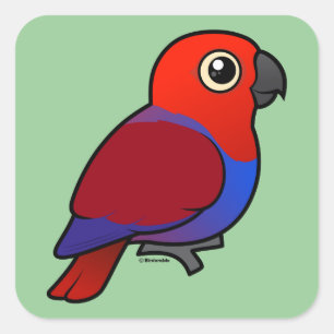 Eclectus Parrot female Square Sticker