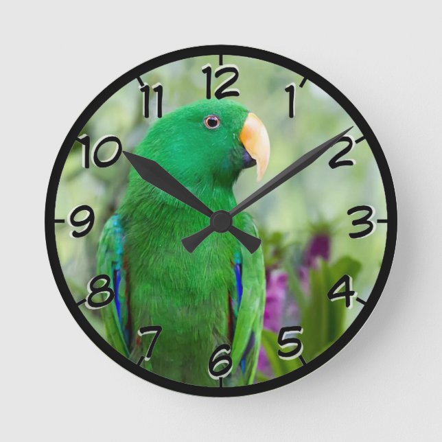 Eclectus Parrot Male Round Clock (Front)