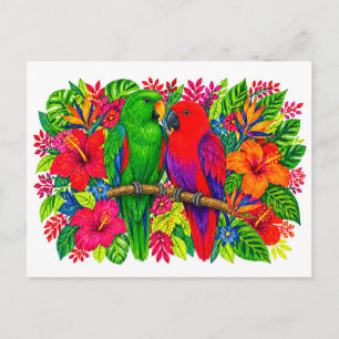 Eclectus Parrots Tropical Strelitzia Hibiscus Mark Postcard