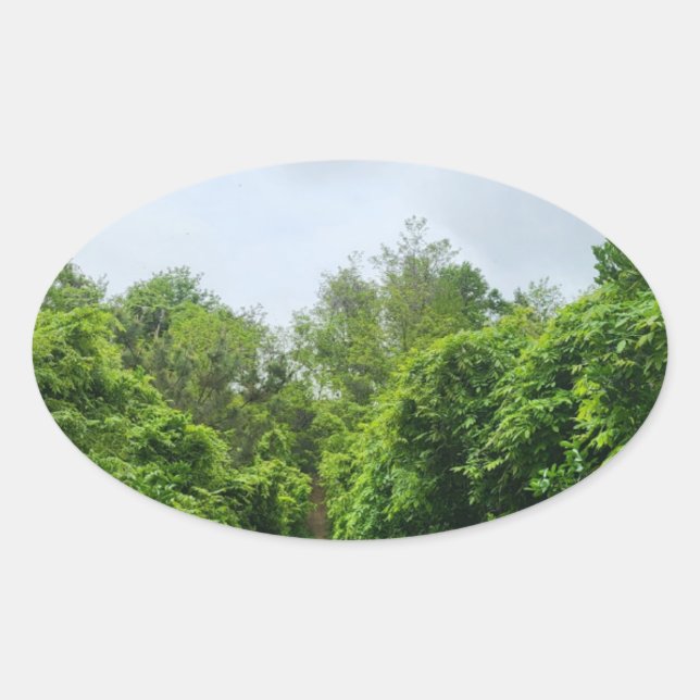 eco-friendly product stickers (Front)