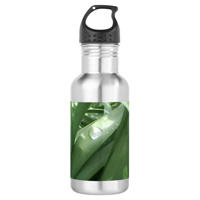 Eco Green 532 Ml Water Bottle (Front)