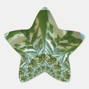 Eco Green Camo Kaleidoscope Art Print Design Star Sticker
