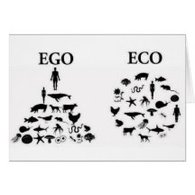 Eco vs Ego