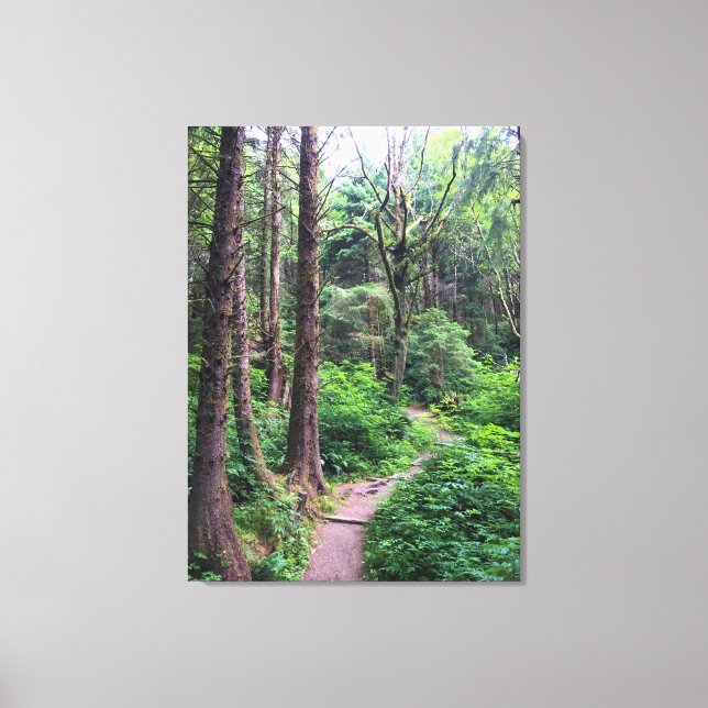 Ecola State Park, Cannon Beach, Oregon Canvas Print (Front)