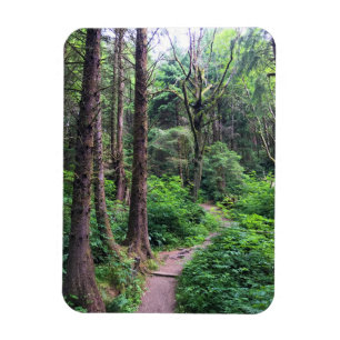 Ecola State Park, Cannon Beach, Oregon Magnet