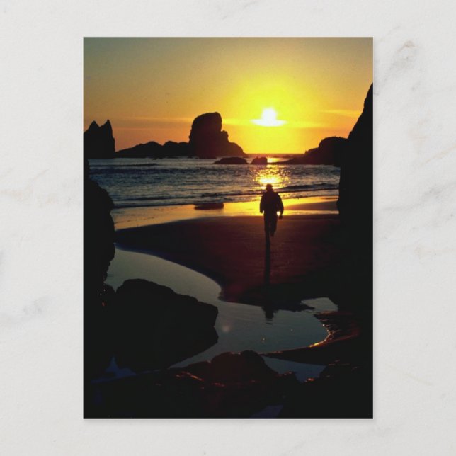 Ecola sunset, Oregon Coast, U.S.A. Postcard (Front)