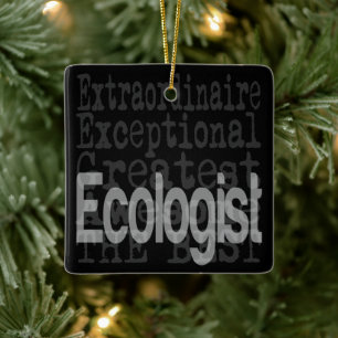 Ecologist Extraordinaire Ceramic Ornament