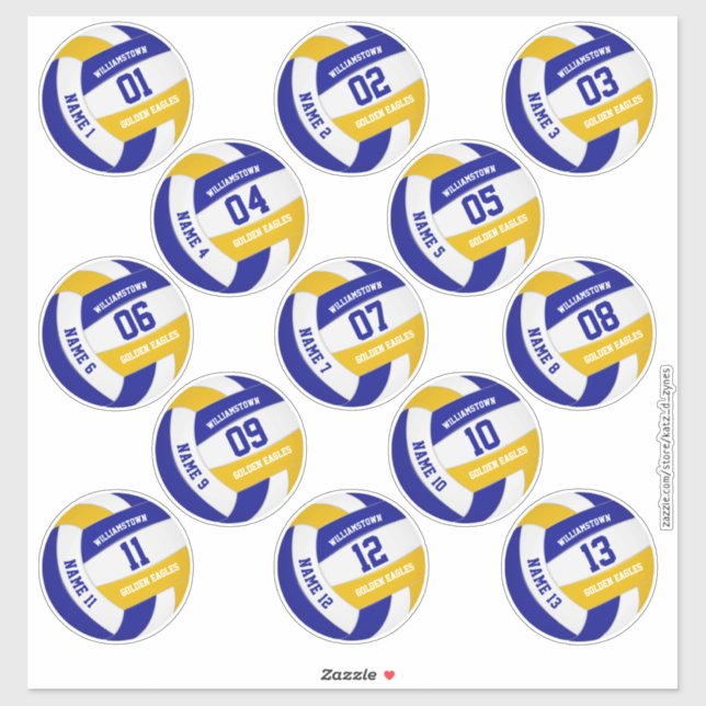 economical set of 13 volleyball team colours (Sheet)
