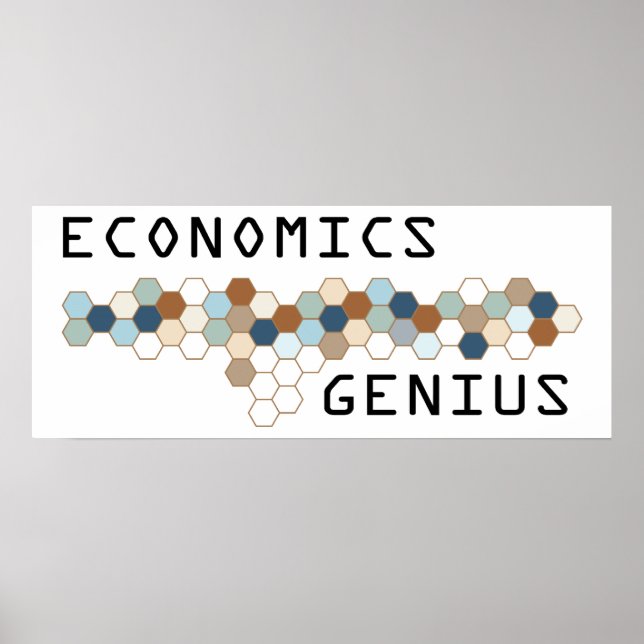 Economics Genius Poster (Front)