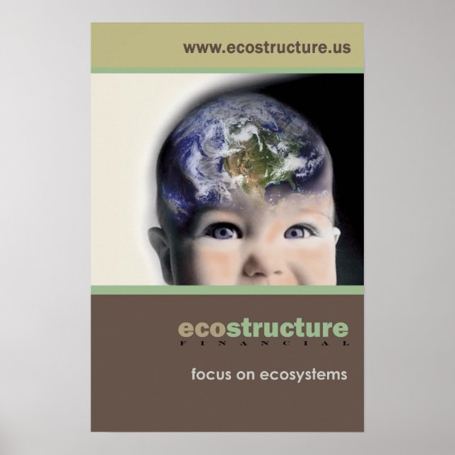 Ecostructure Poster 24x36 (Front)
