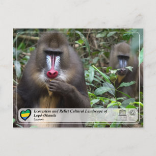 Ecosystem and Cultural Landscape of Lopé-Okanda Postcard