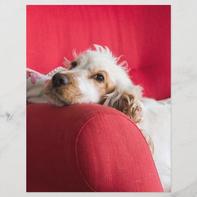 ecs orange and white chillin (Front)