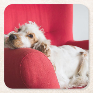 ecs orange and white chillin square paper coaster