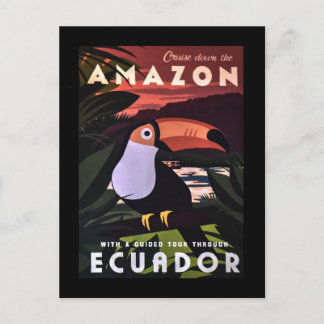 Ecuador Amazon Colourful Bird Vintage Travel Postcard