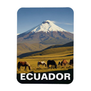 Ecuador Cotopaxi National Park travel Magnet