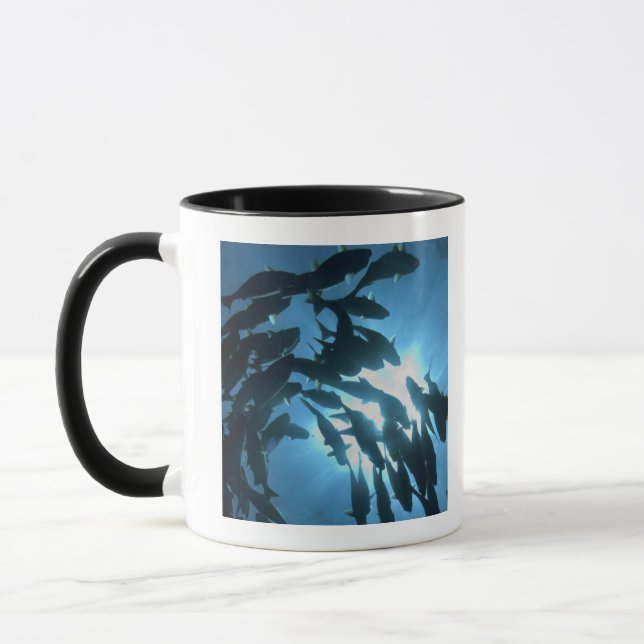 Ecuador, Galapagos archipelago, Wolf Island, Mug (Left)