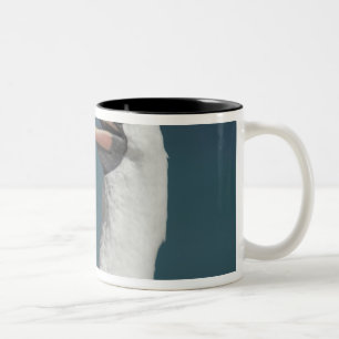 Ecuador, Galapagos. Genovesa Island aka Tower, Two-Tone Coffee Mug