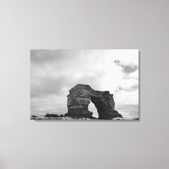 Ecuador, Galapagos Islands, Darwin Island, Waves Canvas Print (Front)