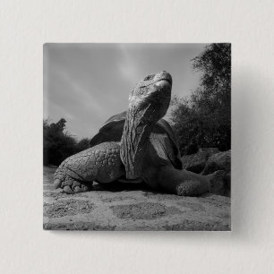 Ecuador, Galapagos Islands National Park, Santa 15 Cm Square Badge