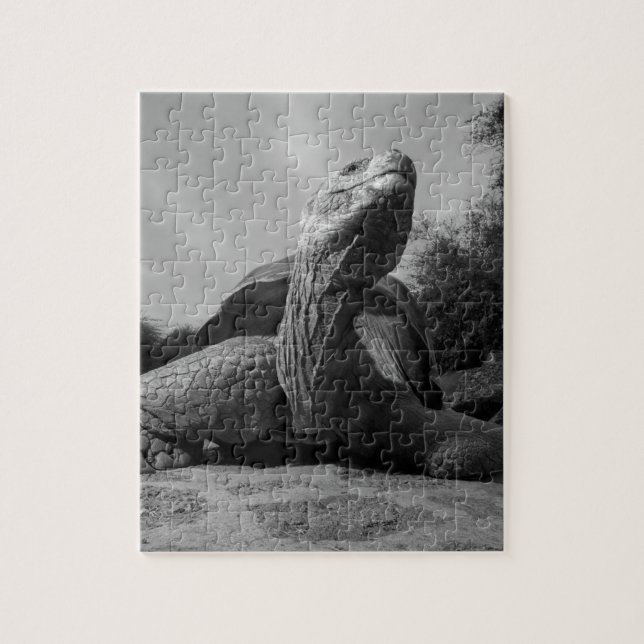 Ecuador, Galapagos Islands National Park, Santa Jigsaw Puzzle (Vertical)