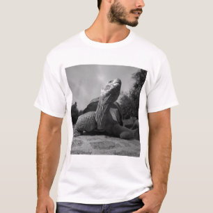 Ecuador, Galapagos Islands National Park, Santa T-Shirt