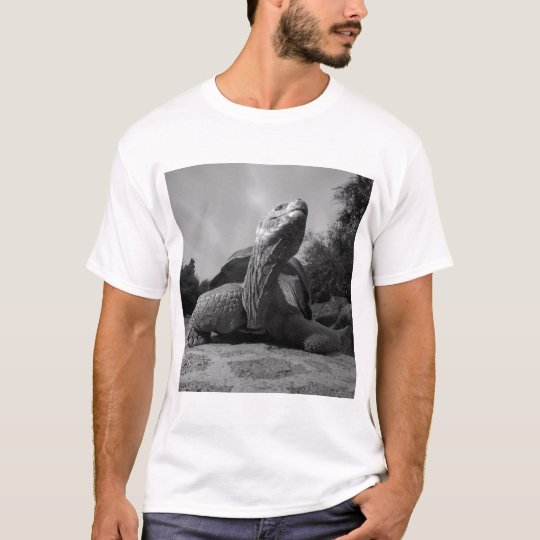 Ecuador, Galapagos Islands National Park, Santa T-Shirt