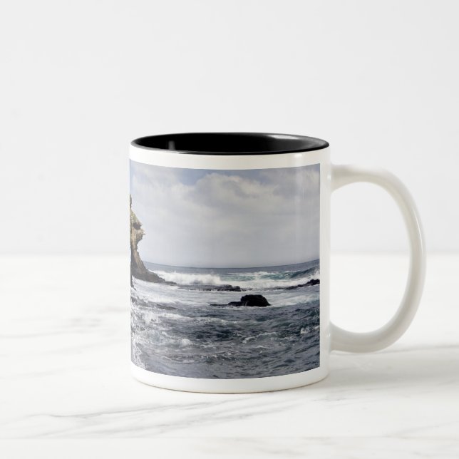 Ecuador, Galapagos, Santiago aka James). 3 Two-Tone Coffee Mug (Right)