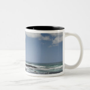 Ecuador, Galapagos, Santiago aka James). 4 Two-Tone Coffee Mug