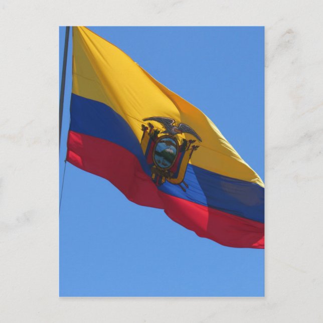 ecuadorian flag postcard (Front)