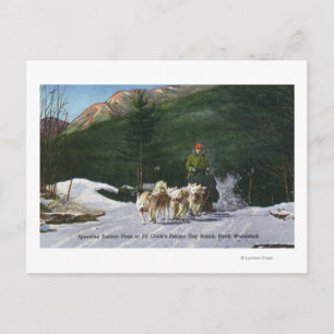 Ed Clark's Eskimo Dog Ranch, Dogsledding Postcard