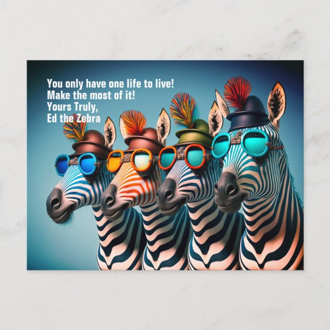 Ed the Zebra - Funny Make the Most of Life Quote Postcard (Front)