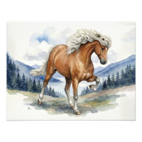 Edda Silver bay Icelandic Horse in the Mountains S