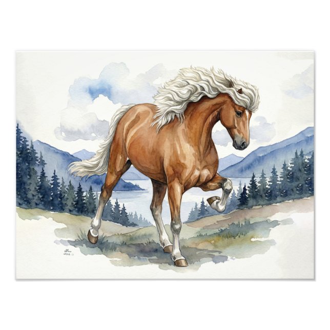 Edda Silver bay Icelandic Horse in the Mountains S Photo Print (Front)