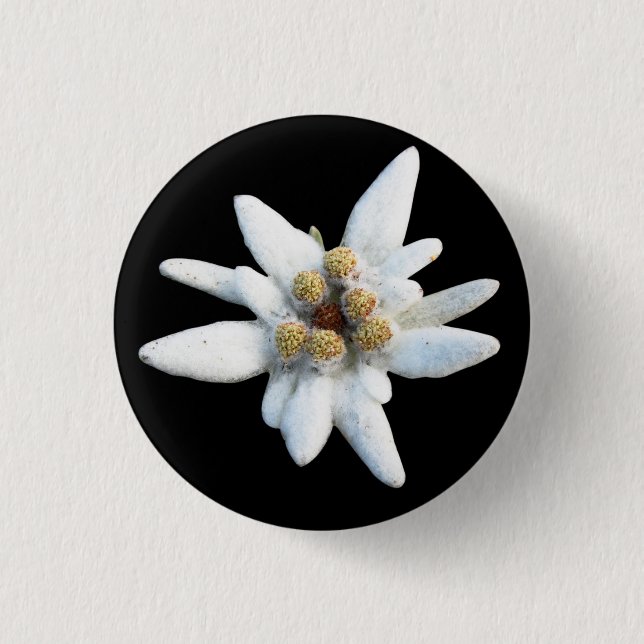 Edelweiss Alpine Flower 3 Cm Round Badge (Front)