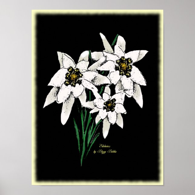 Edelweiss Artwork Print (Front)