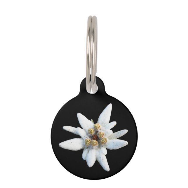Edelweiss Bloom Pet Tag (Front)