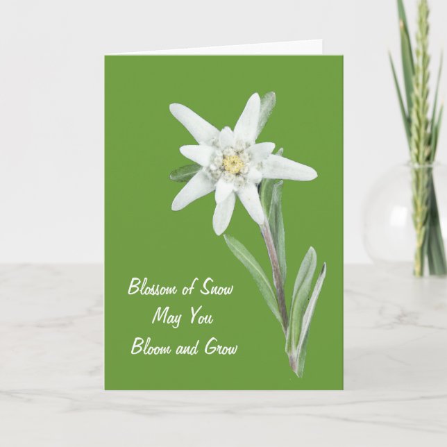 Edelweiss Card (Front)