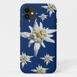 Edelweiss Case on dark blue background
