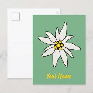 Edelweiss Chalet Flower Retro Huts Vintage Alm Holiday Postcard