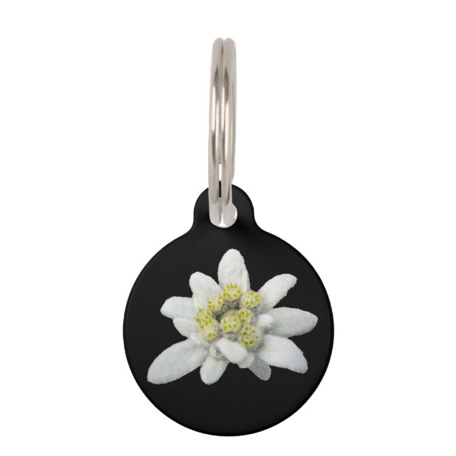 Edelweiss Floral Dog Tag (Front)