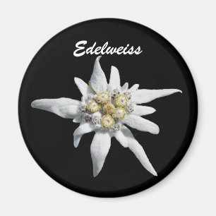 Edelweiss Flower Bloom Magnet