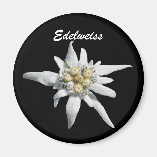 Edelweiss Flower Bloom Magnet (Front)