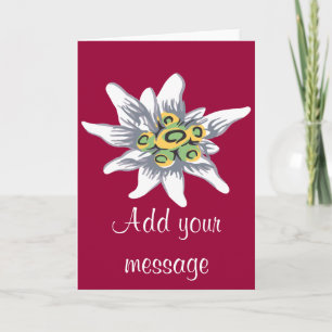 Edelweiss flower card