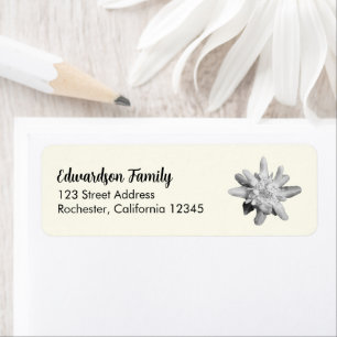 Edelweiss flower family name return address