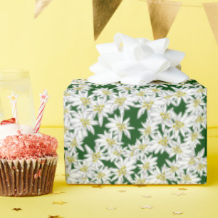 Edelweiss Hand-Drawn Sound of Music Alpine Floral  Wrapping Paper